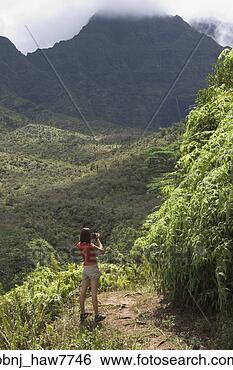 Stock Photo - high angle view 
of woman looking 
out over lush 
jungle valley. 
fotosearch - search 
stock photos, 
pictures, images, 
and photo clipart