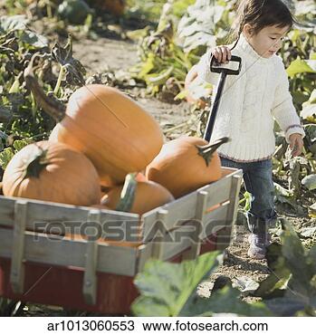 Stock Photo - young asian girl 
with wagon full 
of pumpkins in 
pumpkin patch. 
fotosearch - search 
stock photos, 
pictures, images, 
and photo clipart