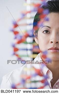 Picture - asian female scientist 
looking at dna 
model. fotosearch 
- search stock 
photos, pictures, 
images, and photo 
clipart