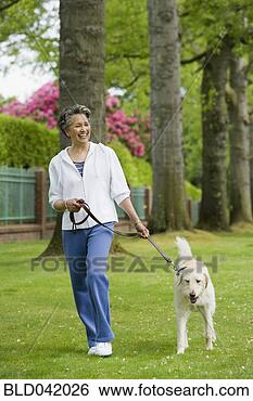 Stock Photo - african american 
woman walking 
dog. fotosearch 
- search stock 
photos, pictures, 
images, and photo 
clipart