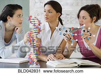 Stock Photography - three young women 
in science class. 
fotosearch - search 
stock photos, 
pictures, images, 
and photo clipart