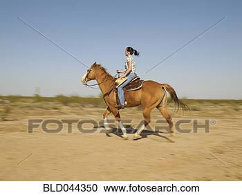 Stock Photography - hispanic woman 
riding horse. 
fotosearch - search 
stock photos, 
pictures, images, 
and photo clipart