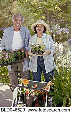 Stock Photo - senior hispanic 
couple gardening. 
fotosearch - search 
stock photos, 
pictures, images, 
and photo clipart