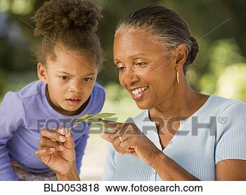 Stock Photo - african grandmother 
and granddaughter 
looking at caterpillar. 
fotosearch - search 
stock photos, 
pictures, images, 
and photo clipart