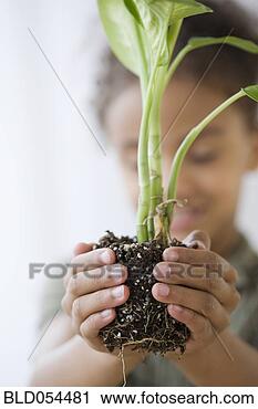 Stock Photography - mixed race girl 
holding plant. 
fotosearch - search 
stock photos, 
pictures, images, 
and photo clipart
