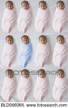 Stock Image - hispanic baby 
in blue blanket 
surrounded by 
babies in pink 
blankets. fotosearch 
- search stock 
photos, pictures, 
images, and photo 
clipart