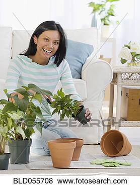 Stock Photo - pacific islander 
woman re-potting 
plants. fotosearch 
- search stock 
photos, pictures, 
images, and photo 
clipart