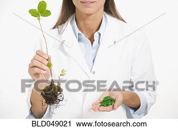Stock Photography - maltese female 
scientist holding 
plant and medication. 
fotosearch - search 
stock photos, 
pictures, images, 
and photo clipart