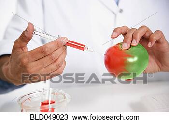 Stock Photo - maltese female 
scientist injecting 
syringe into apple. 
fotosearch - search 
stock photos, 
pictures, images, 
and photo clipart