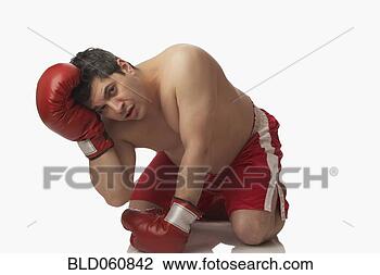 Stock Photo - overweight boxer 
kneeling on floor. 
fotosearch - search 
stock photos, 
pictures, images, 
and photo clipart