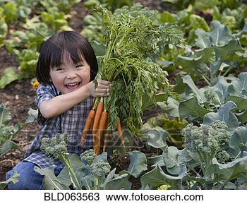 Stock Photo - asian child picking 
carrots in garden. 
fotosearch - search 
stock photos, 
pictures, images, 
and photo clipart