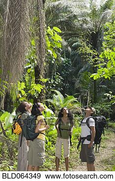 Stock Photograph - friends in backpacks 
exploring jungle. 
fotosearch - search 
stock photos, 
pictures, images, 
and photo clipart