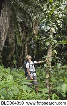 Stock Photography - hispanic man exploring 
jungle. fotosearch 
- search stock 
photos, pictures, 
images, and photo 
clipart