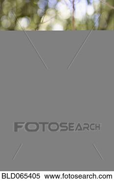 Stock Image - close up of african 
woman with eyes 
closed in forest. 
fotosearch - search 
stock photos, 
pictures, images, 
and photo clipart