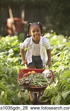 Stock Photo - girl with wheelbarrow 
full of vegetables. 
fotosearch - search 
stock photos, 
pictures, images, 
and photo clipart