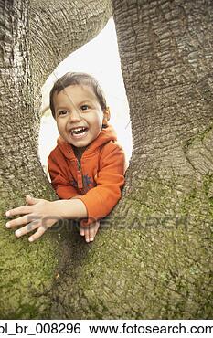 Stock Photo - young boy in tree. 
fotosearch - search 
stock photos, 
pictures, images, 
and photo clipart
