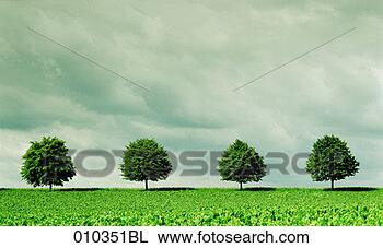 Stock Photo - landscape in south 
germany, cloudy 
sky and four trees. 
fotosearch - search 
stock photos, 
pictures, images, 
and photo clipart