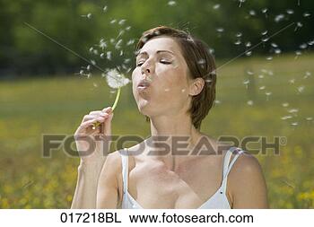 Stock Photo - mature woman blowing 
dandelion seeds. 
fotosearch - search 
stock photos, 
pictures, images, 
and photo clipart