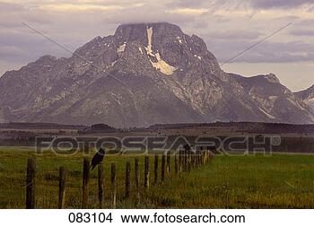 Stock Photo - grand teton,  
grand teton national 
park,  landscape, 
 majestic. fotosearch 
- search stock 
photos, pictures, 
images, and photo 
clipart