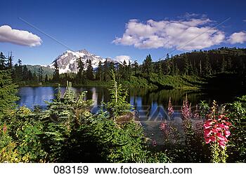 Stock Photograph - mount baker,  
mount baker wilderness, 
 mt baker wilderness. 
fotosearch - search 
stock photos, 
pictures, images, 
and photo clipart