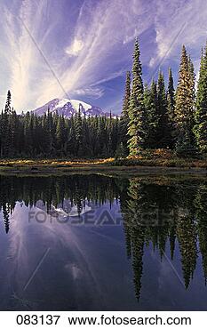 Picture - national park, 
 mount rainier, 
 mount rainier 
national park, 
 park. fotosearch 
- search stock 
photos, pictures, 
images, and photo 
clipart