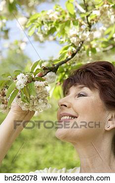 Stock Photo - woman smelling 
cherry blossoms. 
fotosearch - search 
stock photos, 
pictures, images, 
and photo clipart