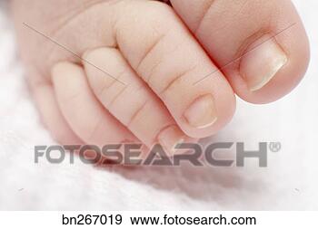 Arquivo Fotográficos - bebê,  dedos pé. 
fotosearch - busca 
de fotos, imagens 
e clipart