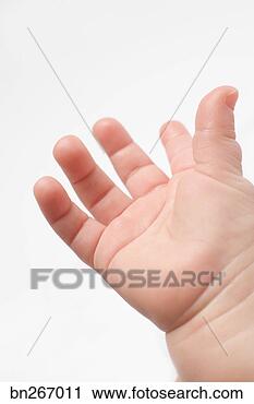 Arquivo de Fotografia - bebê,  mão. fotosearch 
- busca de fotos, 
imagens e clipart