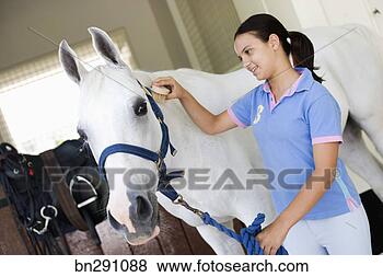 Stock Photo - girl brushing 
horse. fotosearch 
- search stock 
photos, pictures, 
images, and photo 
clipart