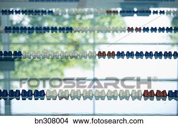 Banco de Imagem - divisores,  flutuante, 
 natação. fotosearch 
- busca de fotos, 
imagens e clipart