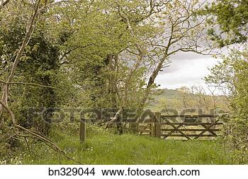 Stock Photo - gate in fence. 
fotosearch - search 
stock photos, 
pictures, images, 
and photo clipart
