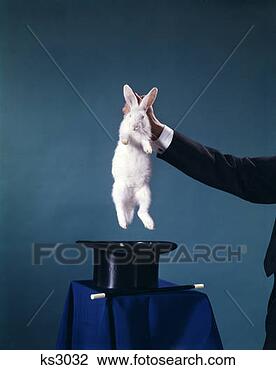 Stock Photo - hand of magician 
pulling white 
rabbit out of 
black top hat 
trick. fotosearch 
- search stock 
photos, pictures, 
images, and photo 
clipart