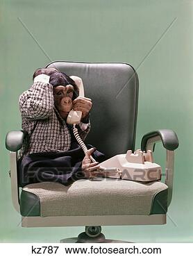 Picture - monkey with telephone. 
fotosearch - search 
stock photos, 
pictures, images, 
and photo clipart