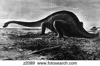 Hazır Fotoğraf - taslak,  gigantosaurus, 
 lâ notasi,  forestier, 
 dinozor,  sürüngen. 
fotosearch - foto, 
resim, görüntü 
ve foto klipart 
ara