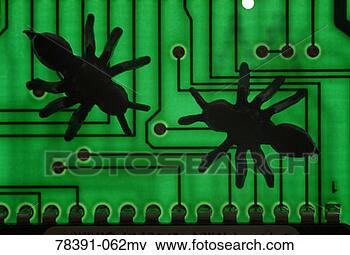 Picture - bug silhouettes 
on circuit board. 
fotosearch - search 
stock photos, 
pictures, images, 
and photo clipart