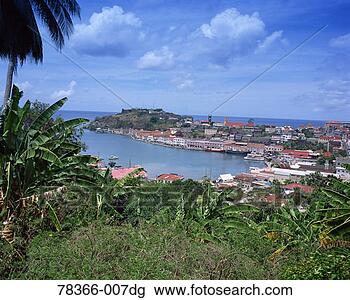 Stock Photo - caribbean - grenada 
- aerial view 
of coast, palm 
trees in foreground. 
fotosearch - search 
stock photos, 
pictures, images, 
and photo clipart