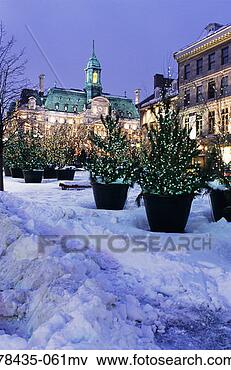 Picture - place jacques 
cartier and city 
hall, quebec, 
canada. fotosearch 
- search stock 
photos, pictures, 
images, and photo 
clipart