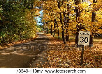 Picture - speed sign and 
dirt road through 
autumn woods. 
fotosearch - search 
stock photos, 
pictures, images, 
and photo clipart