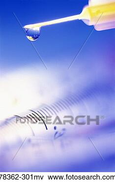Picture - syringe tip with 
droplet over clear 
syringe tube. 
fotosearch - search 
stock photos, 
pictures, images, 
and photo clipart