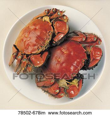 Stock Photo - cooked crabs on 
plate. fotosearch 
- search stock 
photos, pictures, 
images, and photo 
clipart