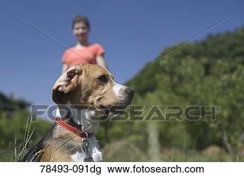 Stock Photo - dog and woman 
in field. fotosearch 
- search stock 
photos, pictures, 
images, and photo 
clipart