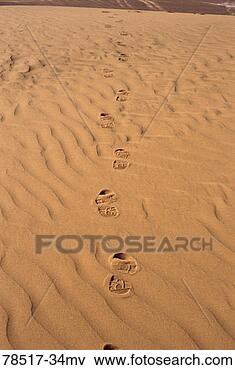 Picture - footprints in 
sand. fotosearch 
- search stock 
photos, pictures, 
images, and photo 
clipart