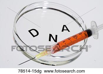 Stock Photo - dna in petri dish 
with syringe. 
fotosearch - search 
stock photos, 
pictures, images, 
and photo clipart