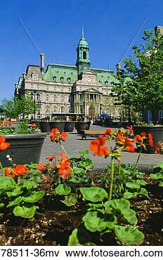 Picture - place jacques 
cartier and city 
hall, old montreal, 
quebec, canada. 
fotosearch - search 
stock photos, 
pictures, images, 
and photo clipart