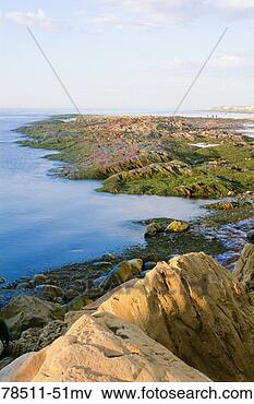 Picture - shoreline, pointe 
au pere, quebec, 
canada. fotosearch 
- search stock 
photos, pictures, 
images, and photo 
clipart
