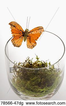 Stock Photo - butterfly flying 
from bell jar. 
fotosearch - search 
stock photos, 
pictures, images, 
and photo clipart