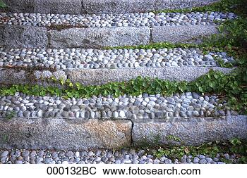 Stock Photo - vines growing 
along stone steps. 
fotosearch - search 
stock photos, 
pictures, images, 
and photo clipart