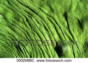 Stock Photo - folded green material. 
fotosearch - search 
stock photos, 
pictures, images, 
and photo clipart