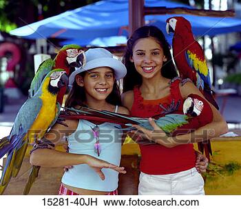 Stock Photo - two latino girls 
posing with parrots. 
fotosearch - search 
stock photos, 
pictures, images, 
and photo clipart