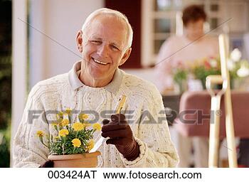 Banco de Imagem - sênior,  potting, 
 marigold,  planta. 
fotosearch - busca 
de fotos, imagens 
e clipart